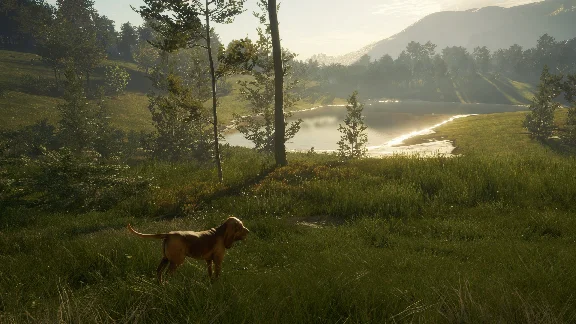 ❗THEHUNTER: CALL OF THE WILD - BLOODHOUND❗XBOX КЛЮЧ❗
