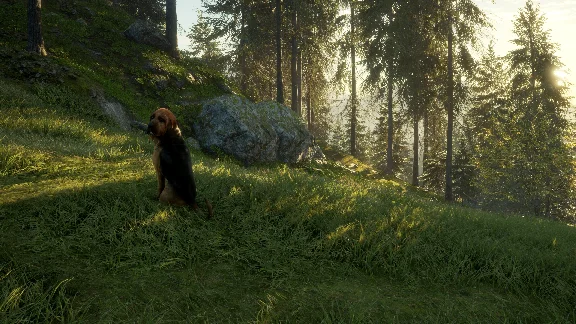 ❗THEHUNTER: CALL OF THE WILD - BLOODHOUND❗XBOX КЛЮЧ❗
