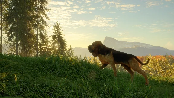 ❗THEHUNTER: CALL OF THE WILD - BLOODHOUND❗XBOX КЛЮЧ❗