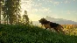 ❗THEHUNTER: CALL OF THE WILD - BLOODHOUND❗XBOX КЛЮЧ❗