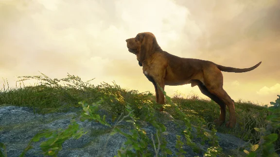 ❗THEHUNTER: CALL OF THE WILD - BLOODHOUND❗XBOX КЛЮЧ❗
