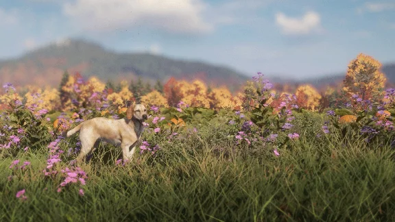 ❗THEHUNTER: CALL OF THE WILD - LABRADOR RETRIEVER🔑XBOX