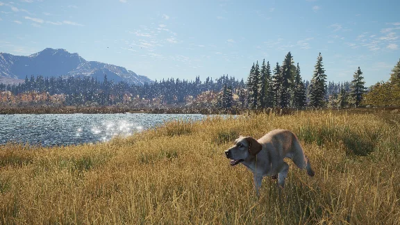 ❗THEHUNTER: CALL OF THE WILD - LABRADOR RETRIEVER🔑XBOX