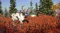 ❗THEHUNTER: CALL OF THE WILD - YUKON VALLEY❗XBOX КЛЮЧ❗