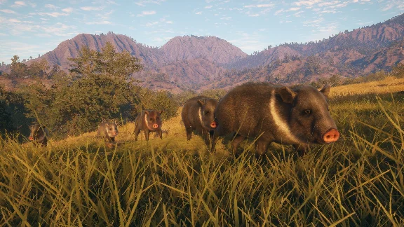 ❗THEHUNTER: CALL OF THE WILD - RANCHO DEL ARROYO❗XBOX🔑