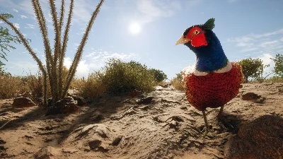 ❗THEHUNTER: CALL OF THE WILD - RANCHO DEL ARROYO❗XBOX🔑