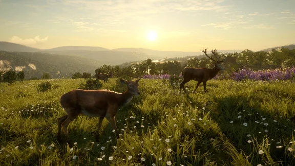 ❗CALL OF THE WILD - CUATRO COLINAS GAME RESERVE🔑XBOX
