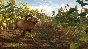 ❗CALL OF THE WILD - CUATRO COLINAS GAME RESERVE🔑XBOX