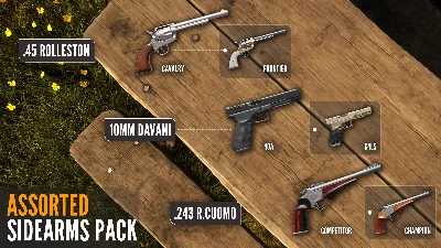 ❗CALL OF THE WILD - ASSORTED SIDEARMS PACK❗XBOX КЛЮЧ🔑