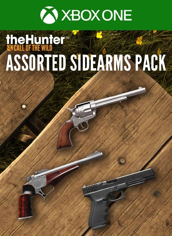 ❗CALL OF THE WILD - ASSORTED SIDEARMS PACK❗XBOX КЛЮЧ🔑