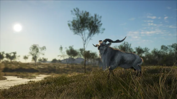 ❗THEHUNTER: CALL OF THE WILD - AUSTRALIA❗XBOX🔑КЛЮЧ❗