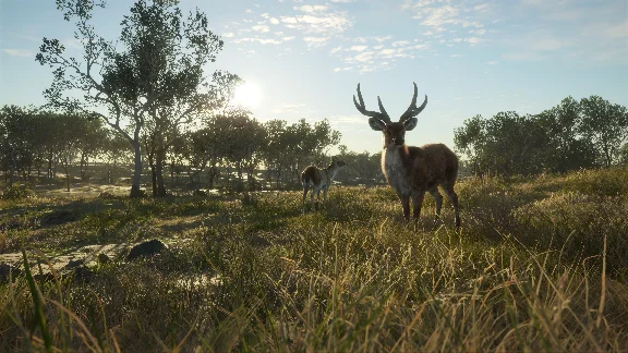 ❗THEHUNTER: CALL OF THE WILD - AUSTRALIA❗XBOX🔑КЛЮЧ❗