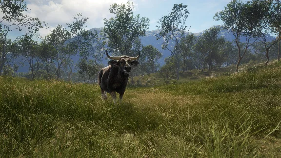 ❗THEHUNTER: CALL OF THE WILD - AUSTRALIA❗XBOX🔑КЛЮЧ❗