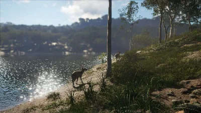 ❗THEHUNTER: CALL OF THE WILD - AUSTRALIA❗XBOX🔑КЛЮЧ❗