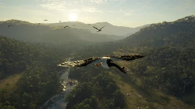 ❗THEHUNTER: CALL OF THE WILD - AUSTRALIA❗XBOX🔑КЛЮЧ❗