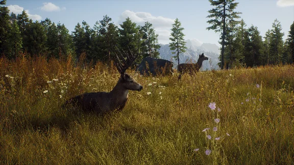 ❗WAY OF THE HUNTER: SEASON PASS❗XBOX X|S🔑KEY❗