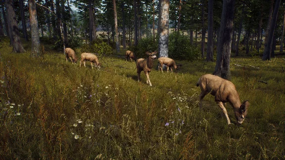 ❗WAY OF THE HUNTER: SEASON PASS❗XBOX X|S🔑KEY❗