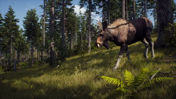 ❗WAY OF THE HUNTER: SEASON PASS❗XBOX X|S🔑KEY❗
