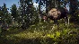 ❗WAY OF THE HUNTER: SEASON PASS❗XBOX X|S🔑KEY❗
