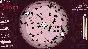 Paper Planet (Steam key / Region Free)