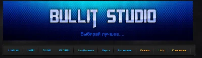 Интернет-магазин (Bullit-Studio v2.00)  ( digiseller )