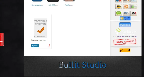 Интернет-магазин (Bullit-Studio v2.00)  ( digiseller )