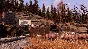 📀Fallout 76 - Steam Key [GLOBAL] 💳0%