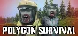 🔥 Polygon Survival | Steam RU+UA+KZ+CIS 🔥