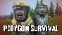 🔥 Polygon Survival | Steam RU+UA+KZ+CIS 🔥