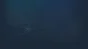 🔥 Deadfall | Steam RU+UA+KZ+CIS 🔥