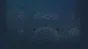 🔥 Aether | Steam РУ+UA+KZ+СНГ🔥