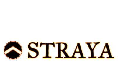 🔥 Straya | Steam RU+UA+KZ+CIS 🔥