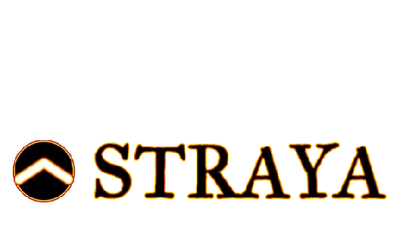 🔥 Straya | Steam RU+UA+KZ+CIS 🔥