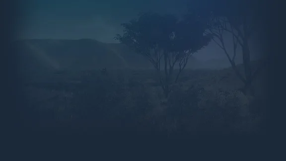 🔥 Straya | Steam RU+UA+KZ+CIS 🔥