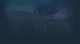 🔥 Straya | Steam RU+UA+KZ+CIS 🔥