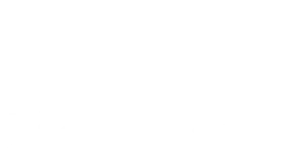 🔥 Made Marion | Steam РУ+UA+KZ+СНГ🔥