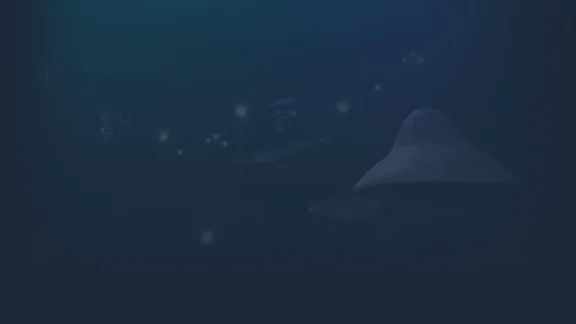🔥 Shaylushay Treasure Expedition | Steam РУ+UA+KZ+СНГ�