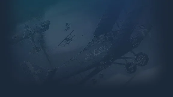 🔥 Flying Shark | Steam RU+UA+KZ+CIS 🔥