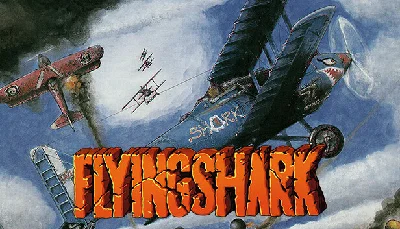 🔥 Flying Shark | Steam RU+UA+KZ+CIS 🔥