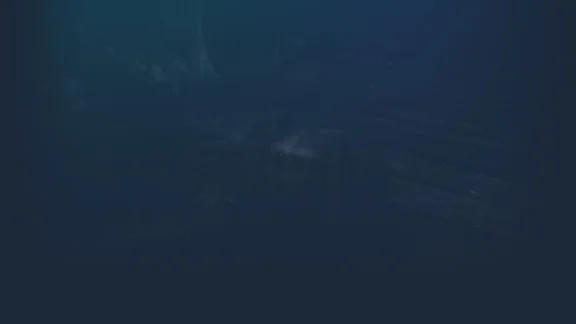 🔥 Your Spider | Steam РУ+UA+KZ+СНГ🔥