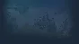 🔥 Sky Survivors | Steam РУ+UA+KZ+СНГ🔥