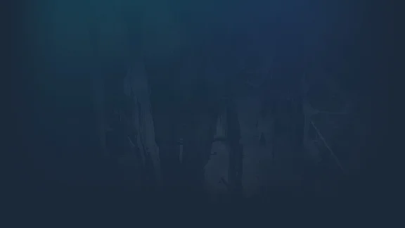 🔥 Sanguivore: Twenty Below | Steam РУ+UA+KZ+СНГ🔥
