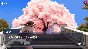秘封旅行 ~ Secret Sealing Travel 💎 АВТОДОСТАВКА STEAM GIFT