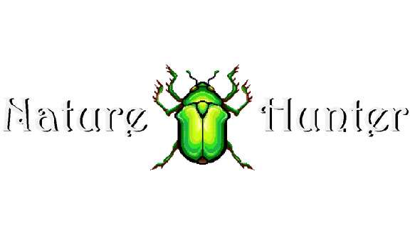 🔥 Nature Hunter | Steam RU+UA+KZ+CIS 🔥