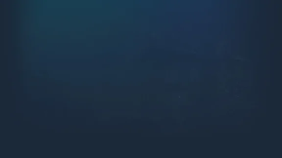 🔥 Shame Legacy | Steam RU+UA+KZ+CIS 🔥