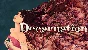 🔥 Decarnation | Steam RU+UA+KZ+CIS 🔥
