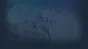 🔥 VIVIDLOPE | Steam РУ+UA+KZ+СНГ🔥