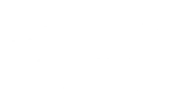 🔥 The Witch of Fern Island | Steam RU+UA+KZ+CIS 🔥