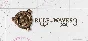 🔥 Rule the Waves 3 | Steam RU+UA+KZ+CIS 🔥