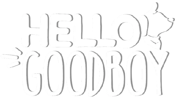 🔥 Hello Goodboy | Steam РУ+UA+KZ+СНГ🔥